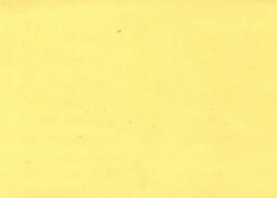 1984 Nissan Butter Yellow